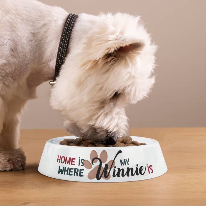 Bol pentru câini personalizat din plastic - Home is where my dog is