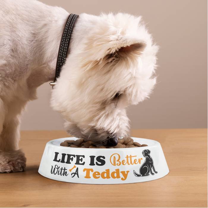 Bol pentru câini personalizat din plastic - Life is better with My Dog