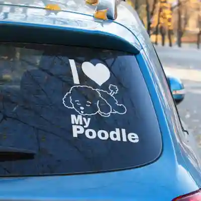 Sticker Poodle 