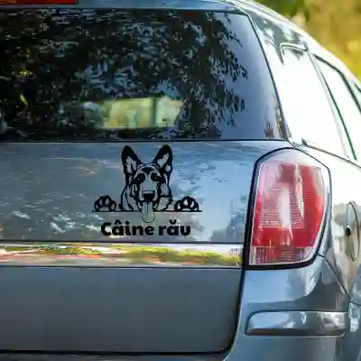 Sticker personalizat Caine Rau